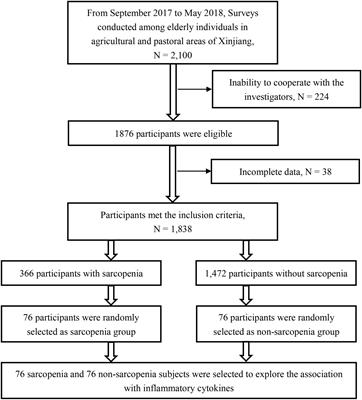 Plasma tumor necrosis factor-α is associated with sarcopenia in elderly individuals residing in agricultural and pastoral areas of Xinjiang, China